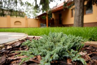 Boróka Vendégház - 5