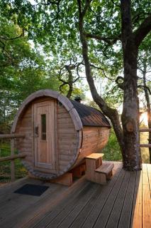Clogau Tree House Hot tub &sauna - Penmaenpool - 3