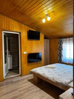Casa Blendea Daniela - Cîrţişoara - 4