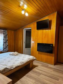 Casa Blendea Daniela - Cîrţişoara - 5