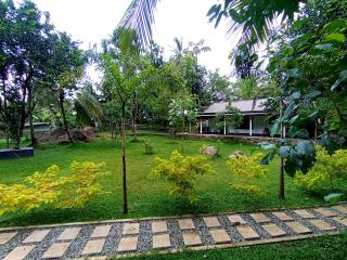 Dhunhill Garden - Avissawella - 9