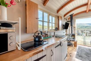 Maes Shepherds Hut - 4