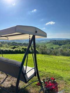 PAPAVERO ROSSO - 6