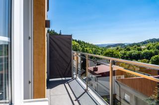 Anmago Apartamenty & SPA - Krynica-Zdrój - 2