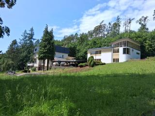 Penzion U Libuše Luleč - Luleč - 8