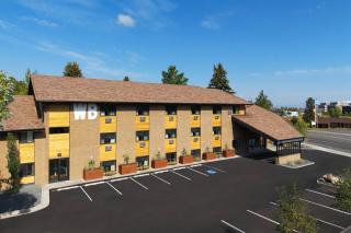 Wandering Buffalo - 8