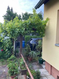 Charming, bright family home with conservatory - Norimberga - 9