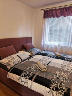 New fast apartment - Otilia - 8