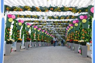 Alojamento Campo Maior - Campo Maior - 1