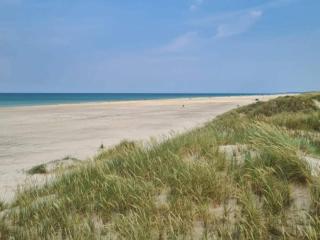 Secluded Dune Cottage-By Traum - Pandrup - 1