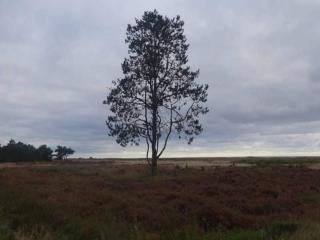 4 person holiday home in Hals-By Traum - 1