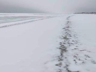 4 person holiday home in Hals-By Traum - 3