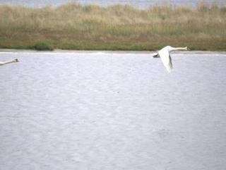 4 person holiday home in Hals-By Traum - 2