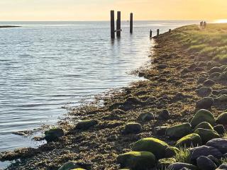 2 person holiday home in Højer - 6