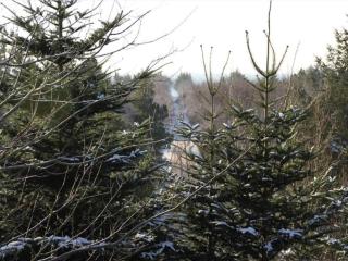 4 person holiday home in Hurup Thy-By Traum - 4