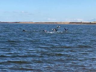 4 person holiday home in Hurup Thy-By Traum - 3