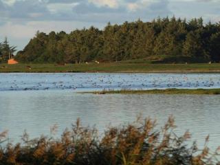 4 person holiday home in Hurup Thy-By Traum - 2