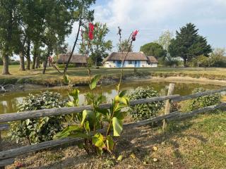 La Bourrine - 2