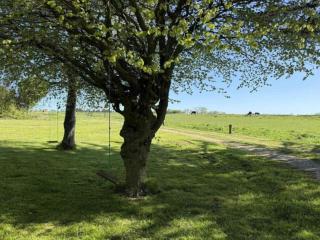 6 person holiday home in Bedsted Thy-By Traum - 3