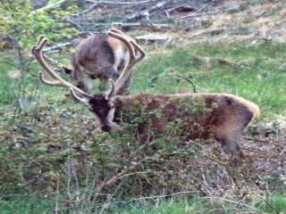 6 person holiday home in Bedsted Thy-By Traum - 7