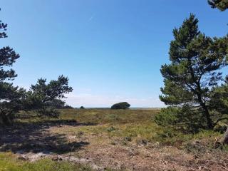 5 person holiday home in Læsø - Læsø - 5