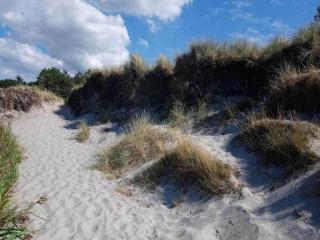 5 person holiday home in Læsø - 1
