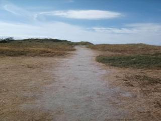 5 person holiday home in Læsø - Læsø - 1