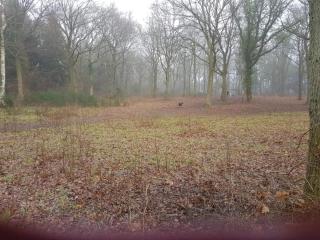 5 person holiday home in Kolind-By Traum - 2