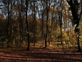 6 person holiday home in Kolind-By Traum - 1