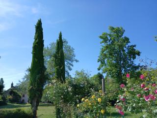 Lorette - Le Veurdre - 7