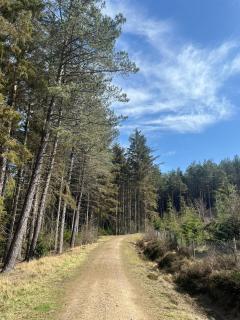 Slayley Forest Hexham Caravan Retreat Pet Friendly - sleeps 6 - Slaley - 6