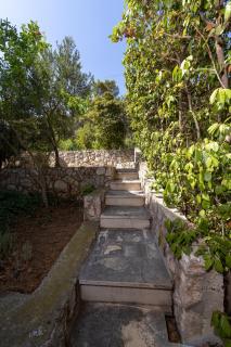 Apartments with parking space Zavala, Hvar - 8710 - 5