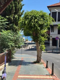 Temiz Hotel - Alanya - 1