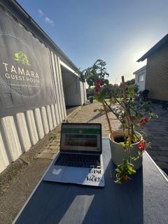 Tamara Guest House - 8