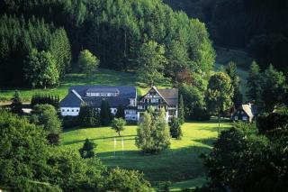 Hotel Gut Vorwald - Schmallenberg - 4
