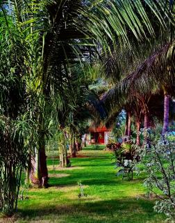 108 Palms Beach Resort - Trincomalee - 6