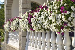 Apartment in Dramalj - Dramaljsko - 1