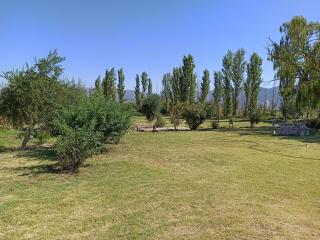 Alala Campo Casa Quinta - 8