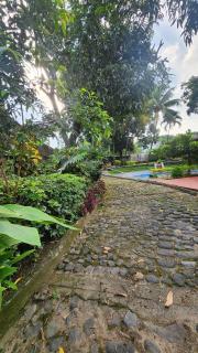 Los Abuelos Mulua Reu House - Retalhuleu - 3