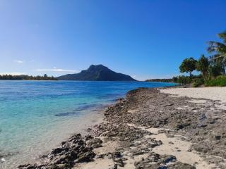 Fare ATAROA - Te-Fare-Arii - 7