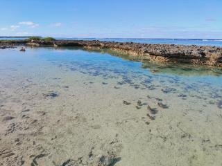 Fare ATAROA - Te-Fare-Arii - 4