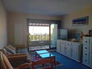 Seignosse Penon - Studio avec alcôve proche plage - FR-1-239-1144 - 4