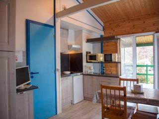 Chalet 30m² avec Terrasse pour 6 Personnes - API-1-52-434 - Naucelle - 9