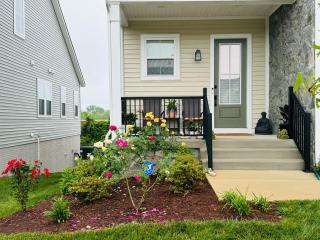Red Cherry Oasis - Aldie - 5