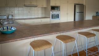 Catch of the Bay - 2