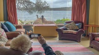 Sunset Ridge Has Direct Access To A Private Beach and Small Jetty - Coffin Bay - 5