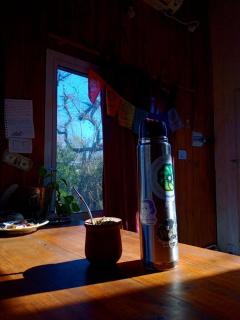 Cabaña entre arboles - 5