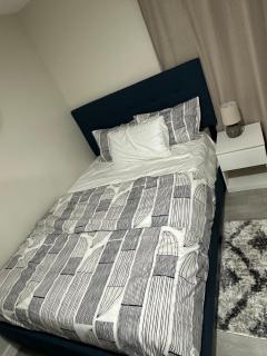 Elegant & Stylish Basement Suite- Private Entrance - Winnipeg - 3
