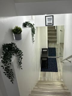 Elegant & Stylish Basement Suite- Private Entrance - Winnipeg - 2