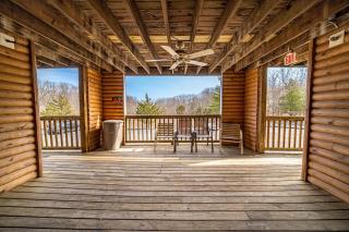 Modern Moose - Branson - 1